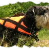 PET - JACKET FOR A DOG